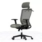 FLEXISPOT OC3B Bürostuhl ergonomisch Schreibtischstuhl modern Computerstuhl mit Lordosenstütze
