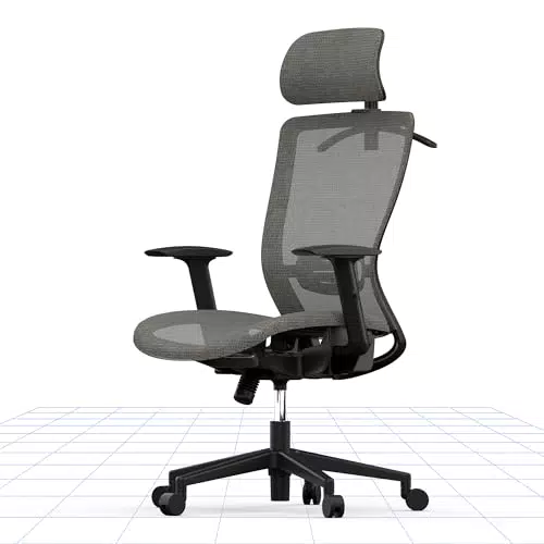 FLEXISPOT OC3B Bürostuhl ergonomisch Schreibtischstuhl modern Computerstuhl mit Lordosenstütze