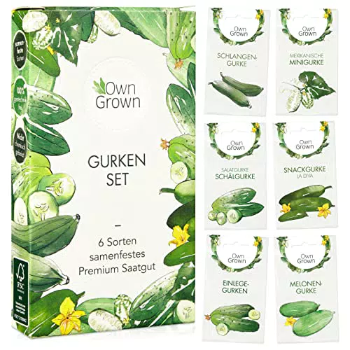 Gurken Samen Set: 6 Sorten Gurken Saatgut mit Freilandgurken Samen