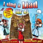 I sing a Liad für di - 32 Stimmungskracher des Jahres auf 2 CDs