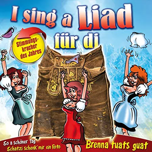 I sing a Liad für di - 32 Stimmungskracher des Jahres auf 2 CDs
