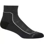 Icebreaker Merino Hike+ leichte Mini-Socken, Jet Heather