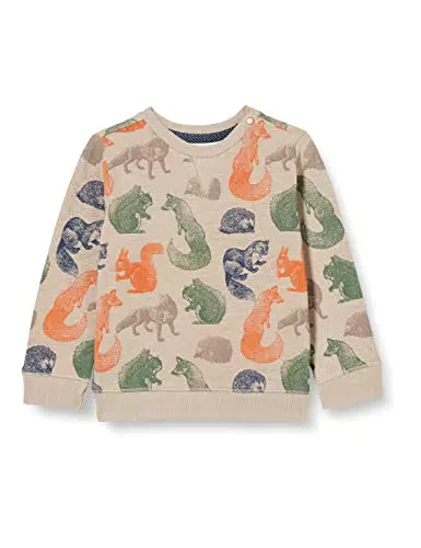 Noppies Baby Baby-Jungen Boys Sweater Long Sleeve Jerevan Allover Print Pullover
