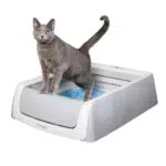 PetSafe Selbstreinigendes Katzenklo PetSafe ScoopFree