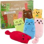 PRETTY KITTY Baldriankissen Katze: 6 Katzenkissen im Baldrian Katzenspielzeug Set für Katzen Spielzeug Cat Toys