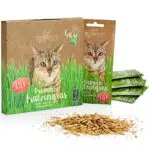 PRETTY KITTY Premium Katzengras Saatmischung: 5 Beutel je 25g Katzengras Samen für 50 Töpfe fertiges Katzengras Eine grüne Katzen Wiese Natürliche Katzen Leckerlies Pflanzen Samen - Grassamen