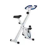 Ultrasport F-Bike, F-Rider Basics, Fahrradtrainer, Fitnessfahrrad LCD Trainingscomputer