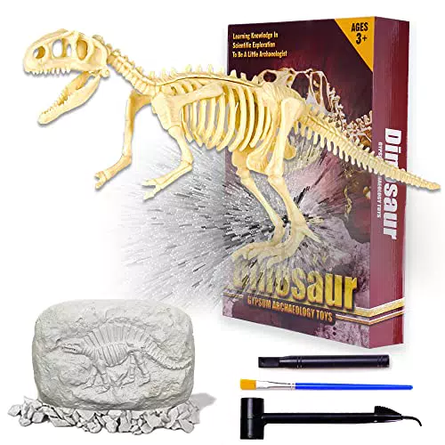 VingaHouse Dino Ausgrabungsset- Dinosaurier Archäologie Spielzeug -Spannende Archäologie Sets-Fossilien Ausgrabungsset-Geschenke