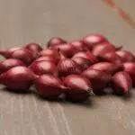 Wintersteckzwiebeln Karmen, Mild scharfe Gemüsezwiebel