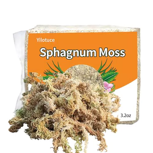 Yilotuce Sphagnum Moos, 90 g spaghnummoss für Orchideen