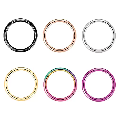 6 Stück G23 Titan Nasenringe Hoop 18G Durchmesser 9mm Scharnier Segment Ring Lippenring Conch Daith Helix Rook Tragus Lobe Snug Ear Body Piercing Ringe Schmuck
