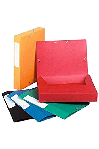 Exacompta 14015H Packung mit 10 Archivboxen Cartobox
