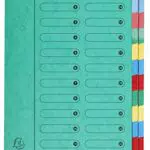 Exacompta 5124E Premium Ordnungsmappe aus extra starkem Colorspan-Karton DIN A4 24 vollfarbige bunte Fächer mit Organisationsdruck und dehnbarem Rücken Ringmappe Register-Mappe grün