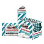 Fisherman's Friend Spearmint, Karton mit 24 Beuteln