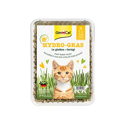 GimCat Hydro-Gras - Frisches Katzengras aus kontrolliertem Feldanbau in nur 5 bis 8 Tagen - 1 Schale