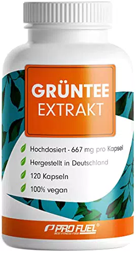 Grüntee Extrakt 120x Grüner Tee Kapseln - 1333 mg pro Tag
