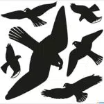 HERMA 5999 Warnvögel Vogel Aufkleber Set für Fensterscheiben groß