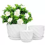 Lawei 3er Set Blumentopf Keramik Pflanztöpfe Moderne Sukkulenten Töpfe Rund mit Untersetzer für Sukkulenten Kaktus Indoor Outdoor Garten Home