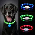Oladwolf Leuchthalsband Hund Aufladbar, LED Hundehalsband Leuchtend wasserdicht Längenverstellbar USB