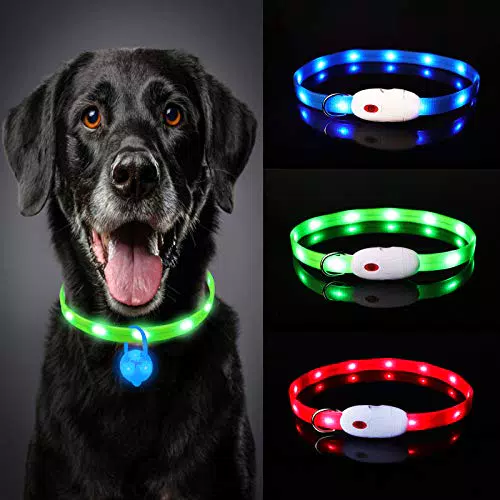 Oladwolf Leuchthalsband Hund Aufladbar, LED Hundehalsband Leuchtend wasserdicht Längenverstellbar USB