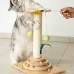 PetJunkee Kratzstamm für Katzen - Interaktives Katzenspielzeug mit 40cm-hoher Kratzsäule