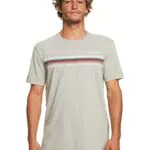 Quiksilver Männer Grau XS