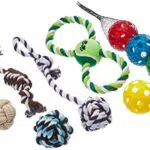 Relaxdays Hundespielzeug Set 10 teilig, 5 Bälle, Tauspielzeug & Zerrspielzeug