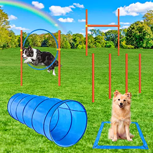 X XBEN Agility Set für Hunde, 5-teiliges Set Agility-Ausrüstung für Hunde