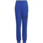 adidas, Essentials Big Logo, Jogginghose, Halbkluge Blau/Legendekinte