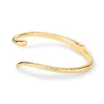 Apple of Eden Armreif AJ-0022-B-58 IP Gold