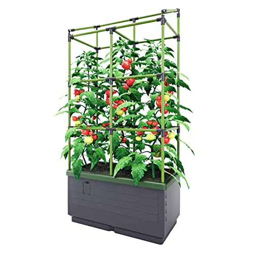 Bio Green Pflanzkübel CITYJUNGLE, Hochbeet für Balkon und Terrasse