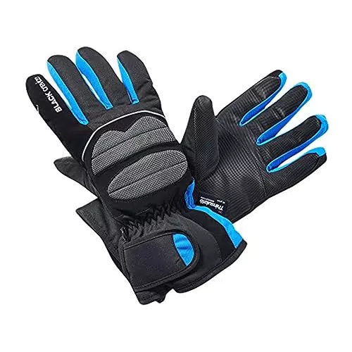 Black Crevice Erwachsenen Skihandschuhe, schwarz/blau