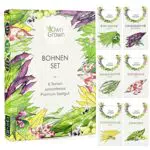 Bohnen Samen Set: 6 Köstliche Bohnen Sorten für Garten und Balkon Puffbohnen Samen