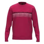 BOSS Herren Salbo 1 10236288 01 Sweatshirt, Medium Pink660