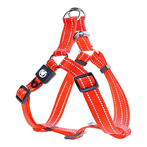 DDOXX Hundegeschirr Nylon, Step-In, Reflektierend, Verstellbar