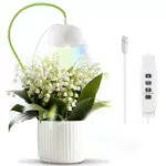 Diivoo Pflanzenlampe LED Vollspektrum, 6000K Pflanzenlicht mit 2 Licht-Modi & Zeitschaltuhr & 10-Stufen-Dimmung