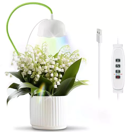 Diivoo Pflanzenlampe LED Vollspektrum, 6000K Pflanzenlicht mit 2 Licht-Modi & Zeitschaltuhr & 10-Stufen-Dimmung