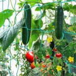 GDPLAN Ranknetz Gartennetze Kletternetz Großes Nylonnetz Rankhilfe Pflanzennetz Pflanzliche Kletterhilfen