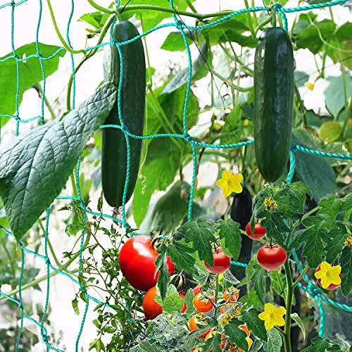 GDPLAN Ranknetz Gartennetze Kletternetz Großes Nylonnetz Rankhilfe Pflanzennetz Pflanzliche Kletterhilfen