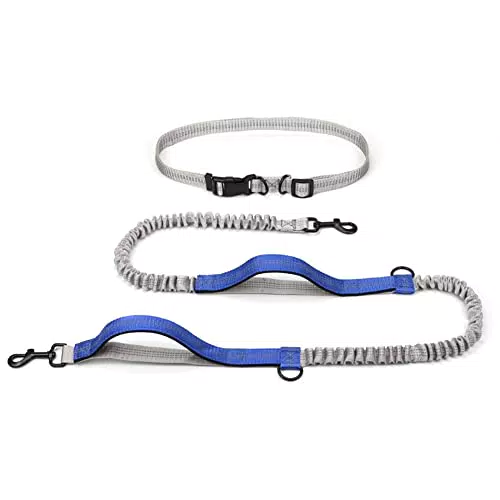 Handfreie Hundeleine, Joggingleine Hunde mit Reflektierende Nähte
