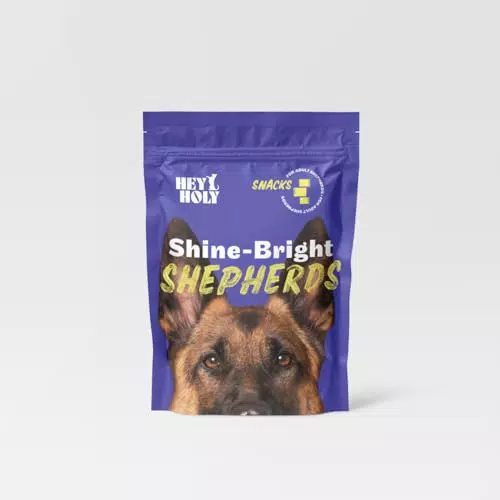 HEY HOLY Shine-Bright Shepherds Snacks High-Meat Premium Leckerli für Hunde mit 80% Ente 4er Pack Getreidefrei