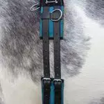 HKM Longiergurt Canvas mit Doppelgriff