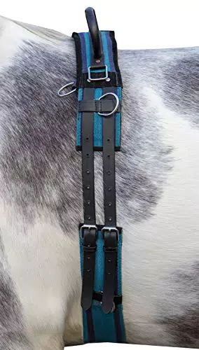 HKM Longiergurt Canvas mit Doppelgriff