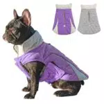 Huntboo Hundemantel, Hundemantel für Kleine Hunde, Hundemantel Winter