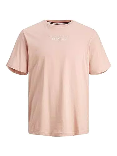 JPRBLUARCHIE SS Tee Crew Neck NOO