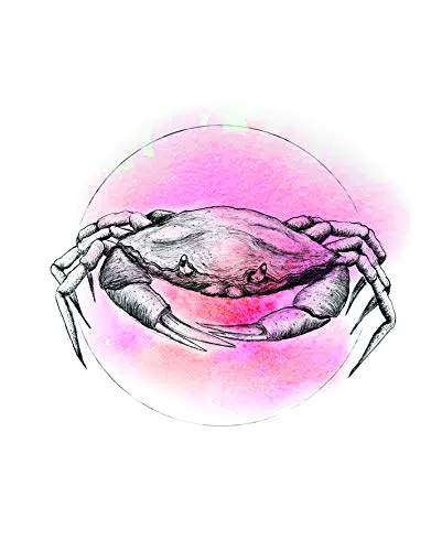 Komar Wandbild, Crab Watercolor, Poster, Bild, Wohnzimmer