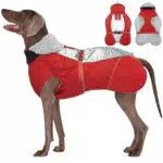 Kuoser Hundemantel Winter, Wärme Hundejacke Hundemantel für Großer Hund Hundebekleidung