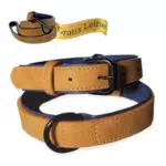 LUCON Hundehalsband Leder braun Halsband für Welpen und kleine Hunde mit einem Halsumfang von 27-37cm Lederhalsband gepolstert mit Metallschnalle