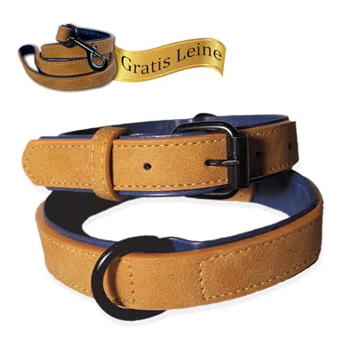 LUCON Hundehalsband Leder braun Halsband für Welpen und kleine Hunde mit einem Halsumfang von 27-37cm Lederhalsband gepolstert mit Metallschnalle