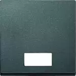 Merten 433814 Wippe mit rechteckigem Symbolfenster, anthrazit